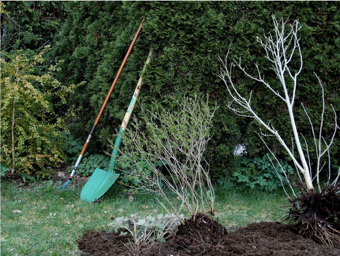 Schermafbeelding 2023 04 06 om 18.27.05